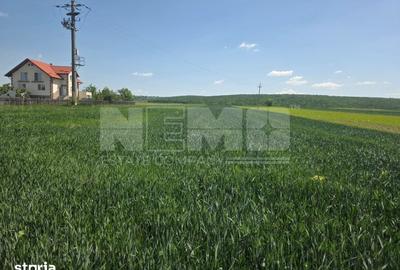 Teren de 2600 mp, în Mitocu Dragomirnei - 4