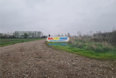 Teren extravilan de 10000 mp, în Est