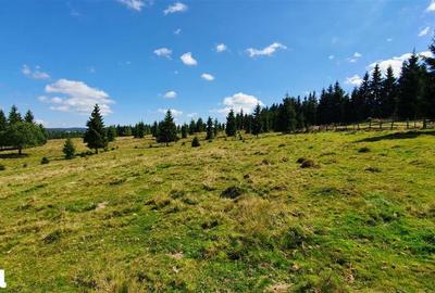 Teren de 1350 mp, în Beliș