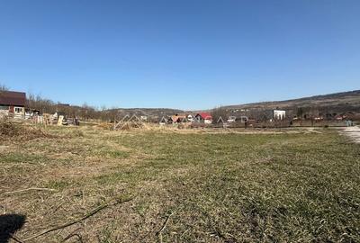 Teren agricol intravilan de 710 mp, în Chinteni - 2