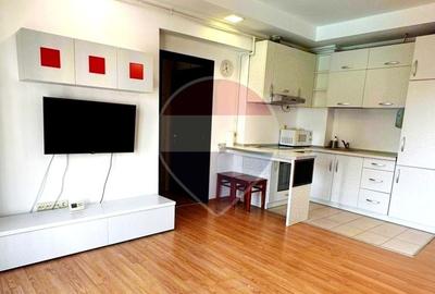 Apartament cu 2 camere semidecomandat, mobilat în Ștefăneștii de Jos - 3