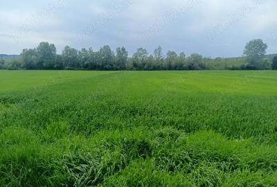 Teren de 12850 mp, în Central