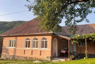Casă cu 3 camere în Delenii - 1