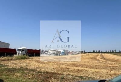 Teren Construcții intravilan de 65600 mp, în Căciulați - 5
