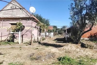 Casă cu 2 camere cu Teren 1995 Mp în Poșoloaca