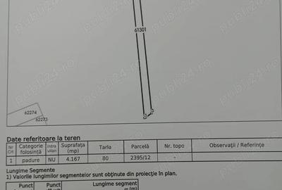 Teren de 20000 mp, în Cernu - 2