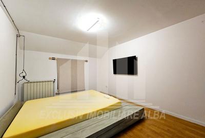 Casă individuală cu 6 camere cu Canalizare în Cetate - 13