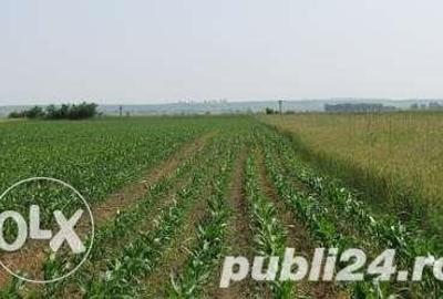 Teren de 38000 mp, în Central