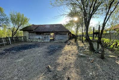 Teren de 6785 mp, în Mușetești - 2