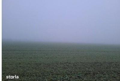 Teren de 4040 mp, în Troianul - 1