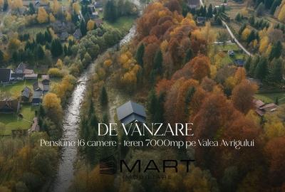 Casă cu 17 camere cu Teren 7000 Mp în Avrig - 1