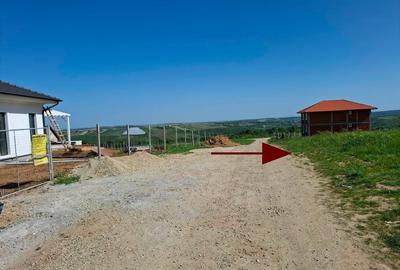 Teren Construcții intravilan de 700 mp, în Săldăbagiu de Munte