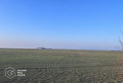 Teren agricol extravilan de 32000 mp, în Nord-Est - 2