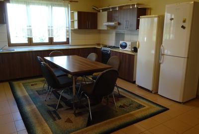 Apartament decomandat în Dosu Bricii