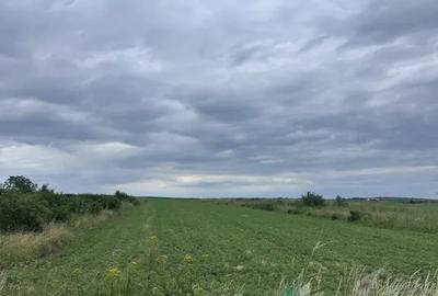 Teren în Copăceni