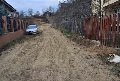 Teren de 1350 mp, în Dorobanț - 5