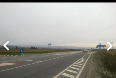 Teren de 5500 mp, în Lugojel - 1