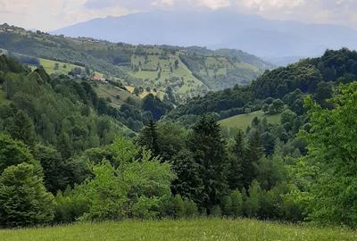 Teren de 7200 mp, în Peștera - 2