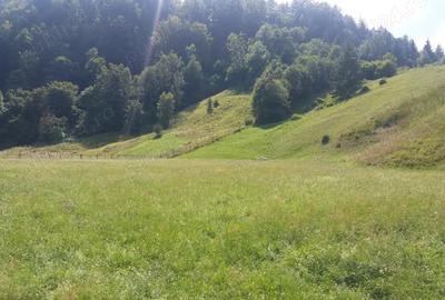 Teren în Dâmbovicioara - 2