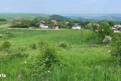 Teren de 2200 mp, în Sălicea