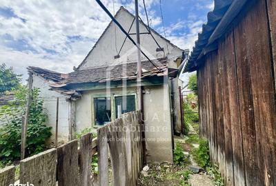 Casă cu 2 camere în Turnișor