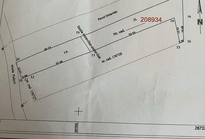 Spațiu comercial, în Paleu - 4
