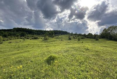 Teren de 115367 mp, în Runcu - 5