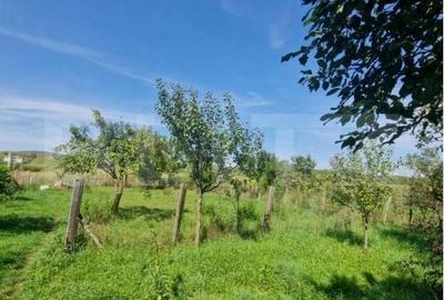 Casă cu 2 camere decomandat în Ilișua