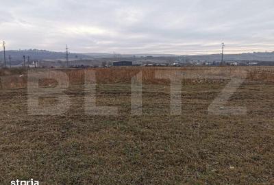 Teren de 5900 mp, în Pătrăuți - 2