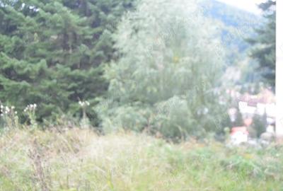 Teren în Valea Alba - 5