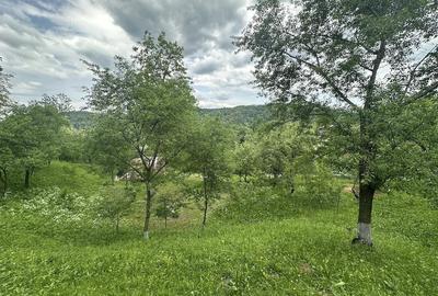 Teren de 2400 mp, în Telega - 1