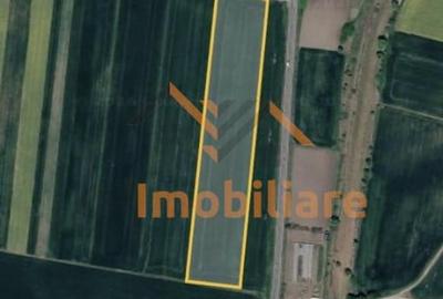 Teren de 28700 mp, în Tămășeu