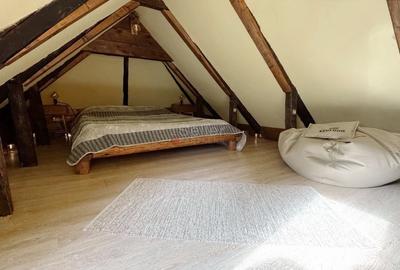 Apartament cu 2 camere nedecomandat, mobilat în Centrul Istoric - 13
