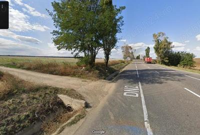 Teren de 88880 mp, în Dumbrava (Berești-Bistrița) - 2