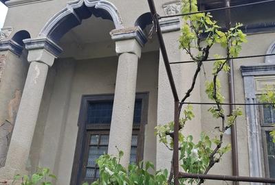 Casă cu Teren 3149 Mp în Bucinișu