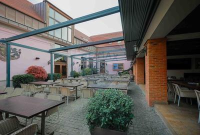 Proprietate specială, de 1,095 mp, în Ultracentral - 9