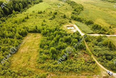 Teren Construcții intravilan de 3900 mp, în Porumbacu de Sus - 3