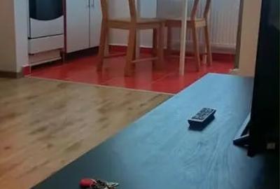 Garsonieră în Berceni