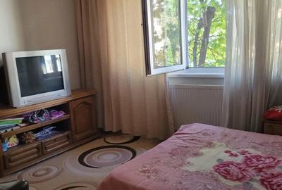 Apartament cu 3 camere semidecomandat în Banat