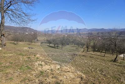 Teren de 4627 mp, în Giulești - 2