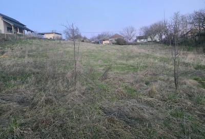 Teren de 3000 mp, în Cornești - 3