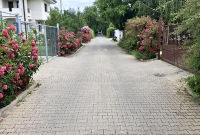 Apartament cu 3 camere în Băneasa - 2