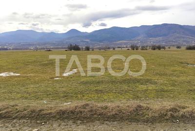 Teren agricol intravilan de 10000 mp, în Săliște - 3