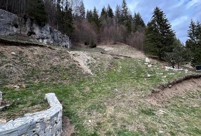Teren de 6000 mp, în Dâmbovicioara