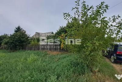 Casă cu 3 camere cu Teren 1715 Mp în Cornești