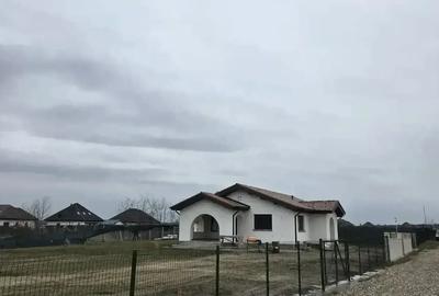 Teren de 10000 mp, în Bălteni - 8
