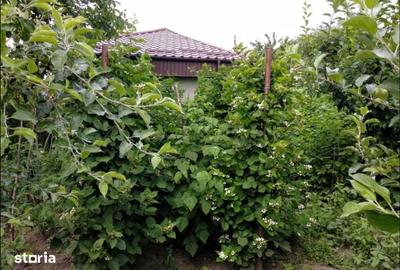 Casă cu 3 camere semidecomandat cu Teren 1500 Mp în Românești - 3