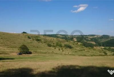 Teren de 8743 mp, în Tileagd - 4