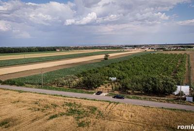 Teren de 25000 mp, în Macea - 2