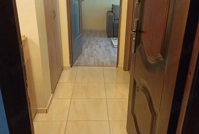 Garsonieră semidecomandată în Lunei - 10